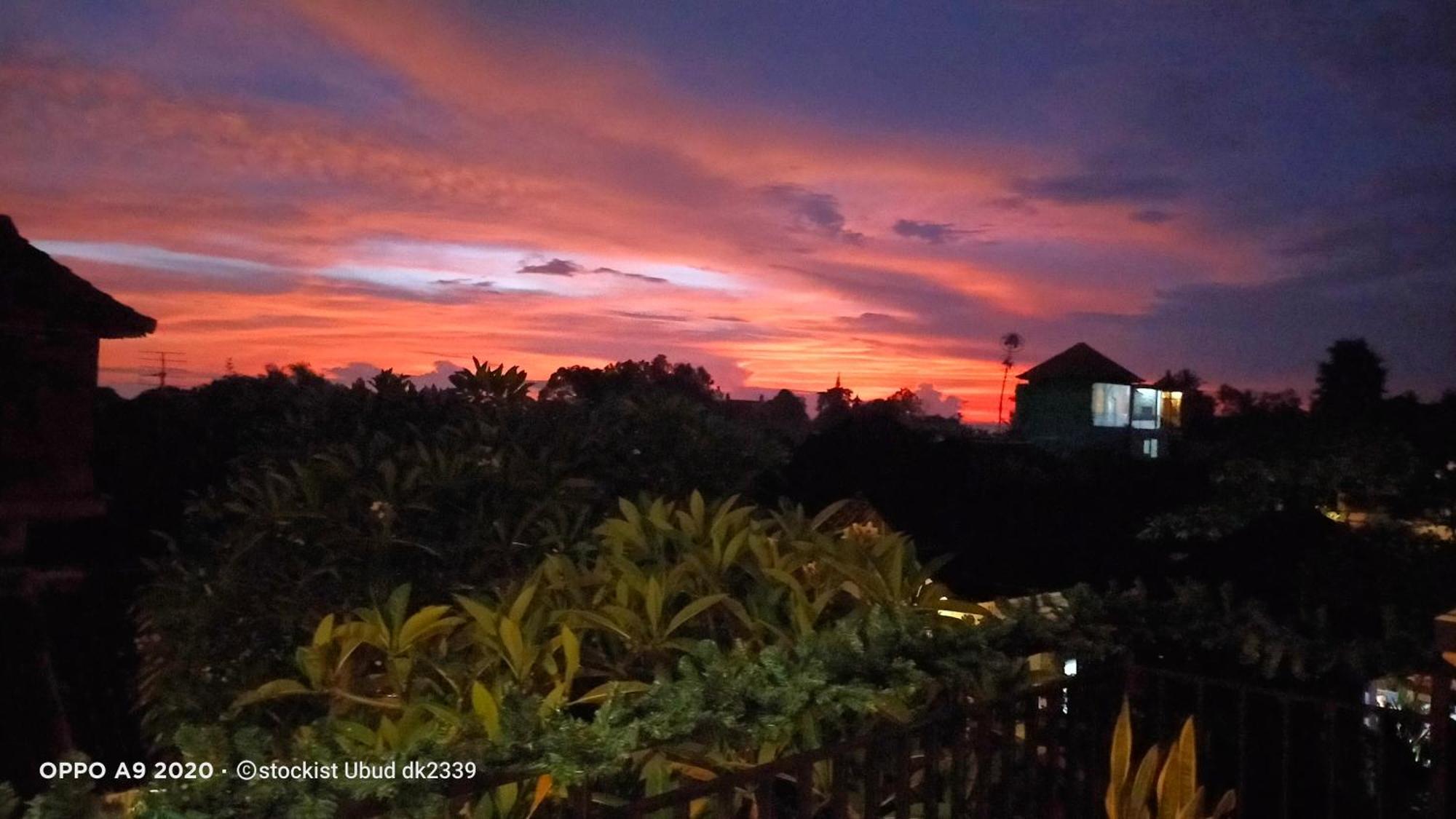 Danu House Ubud 외부 사진